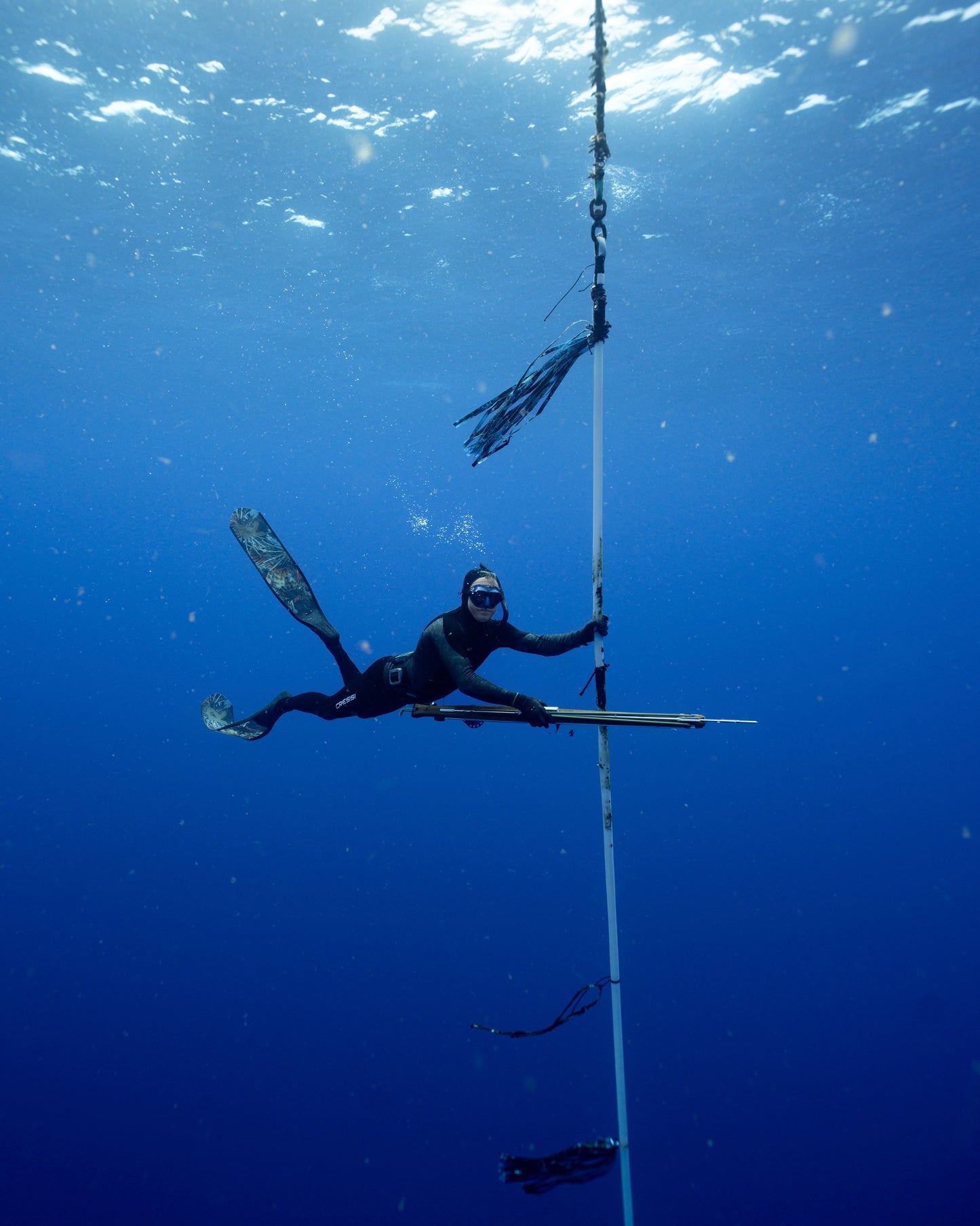 Tonga Freediving, Whale Swimming & Spearfishing Expedition